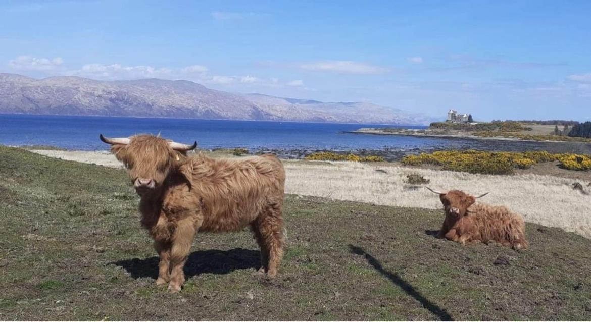 Villa Ard Na Mara Self Catering Isle Of Mull Dervaig Exterior foto